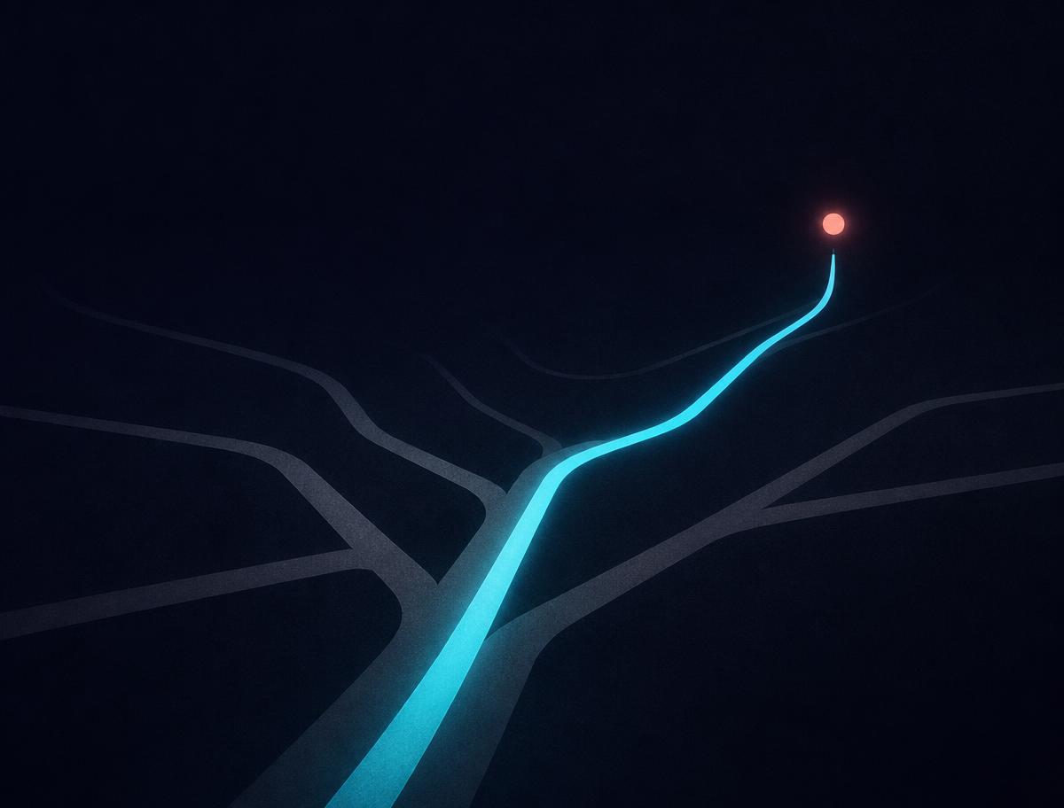 Tante strade possibili, una sola illuminata